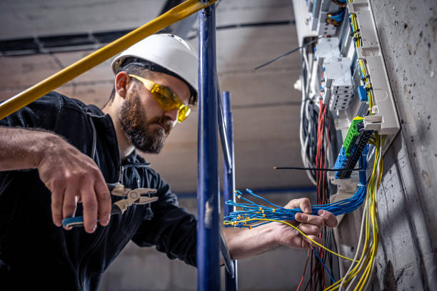 Best Electric Panel Repair  in Austin, MN